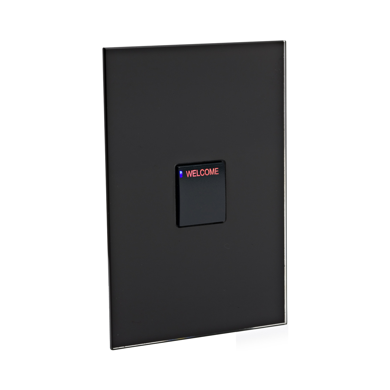 product_lightmoves_lighting_control_panels_philips_dynalite_revolution_series_dr2p_dr2pa-axx-x-c-bg-r-bo-c_1