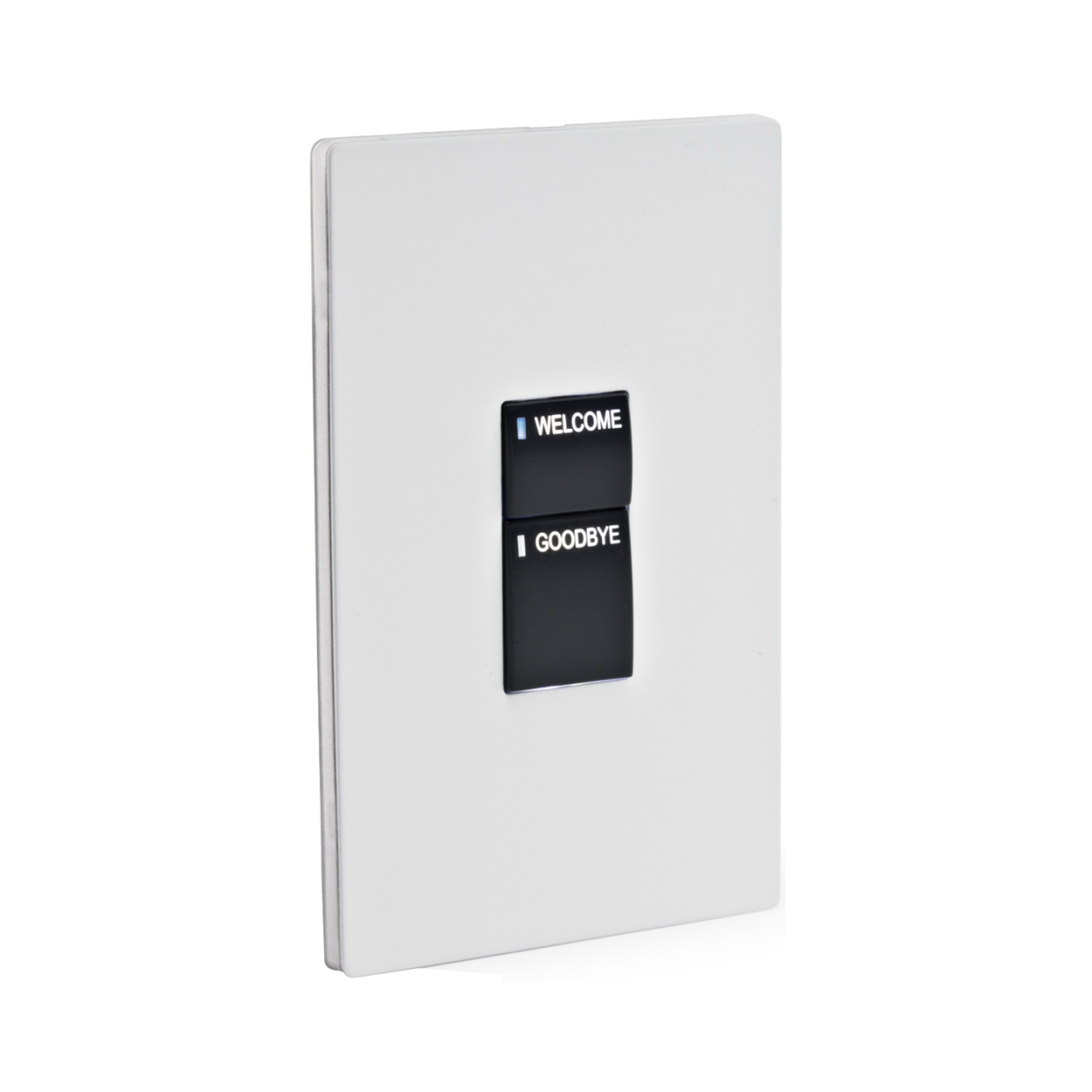 product_lightmoves_lighting_control_panels_philips_dynalite_revolution_series_dr2p_dr2pa-cxx-x-c-ss-r-bo-c-_1 DR2P