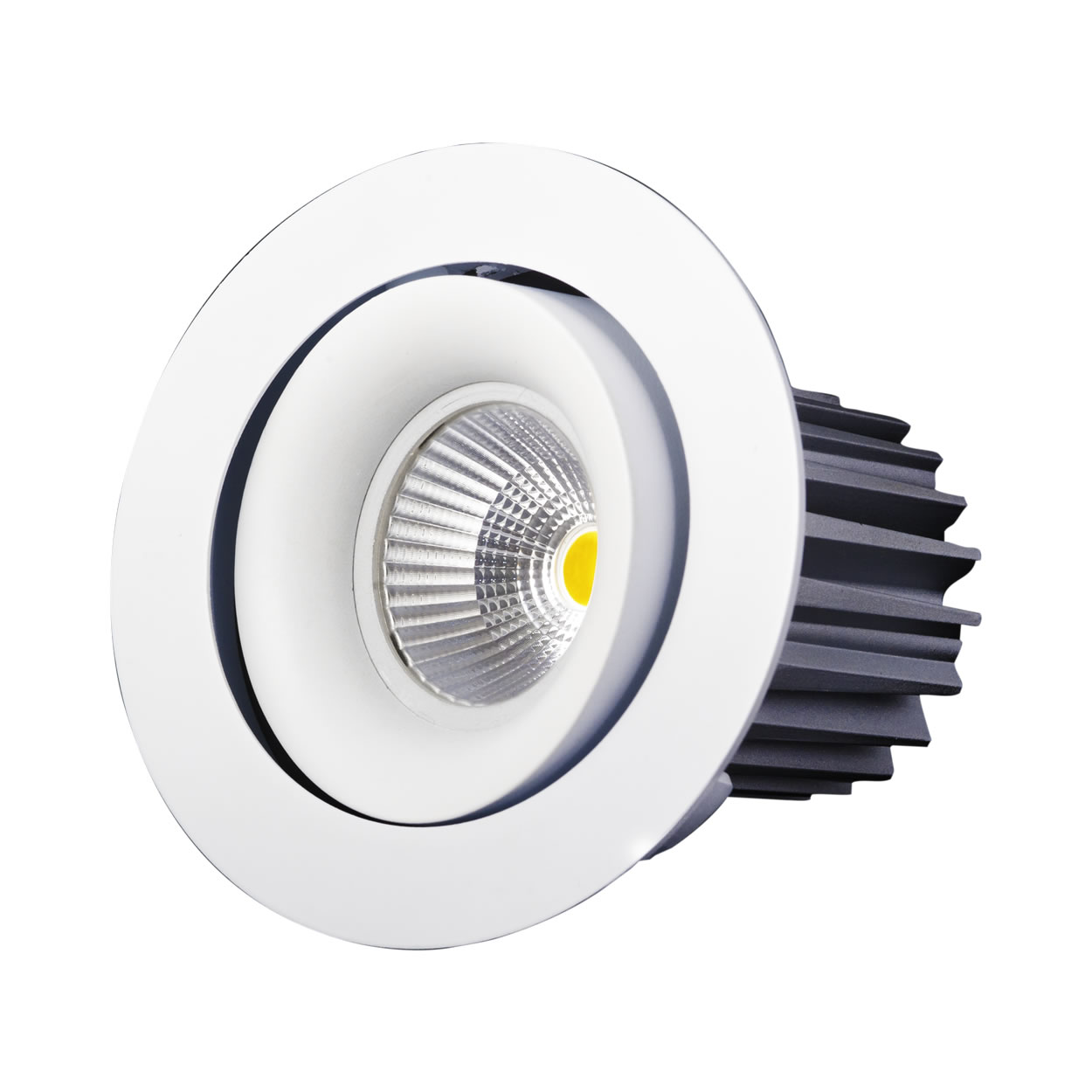 product_lightmoves_led_and_feature_lighting_downlights_space_cannon_ares_01 Space Cannon Ares