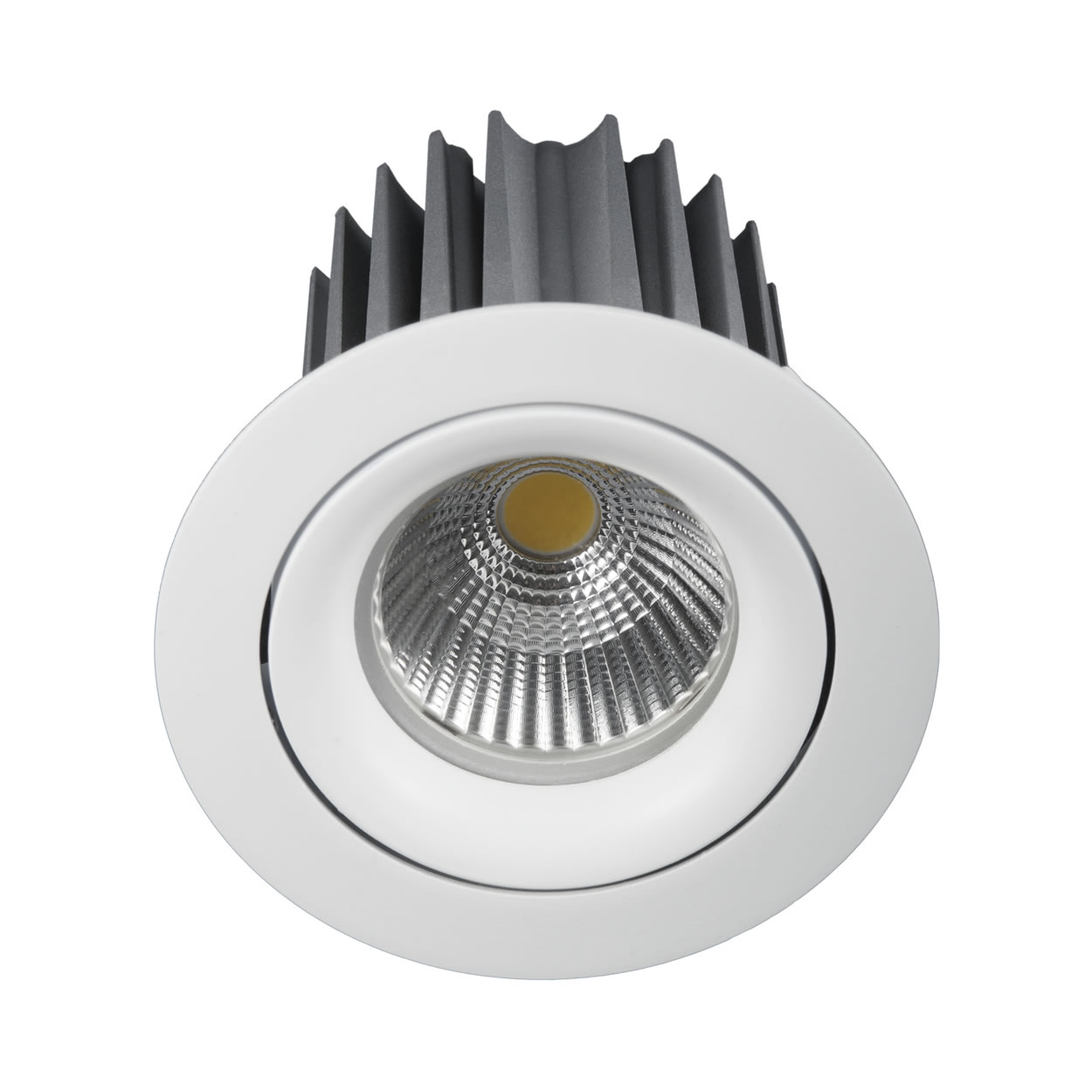 product_lightmoves_led_and_feature_lighting_downlights_space_cannon_ares_02
