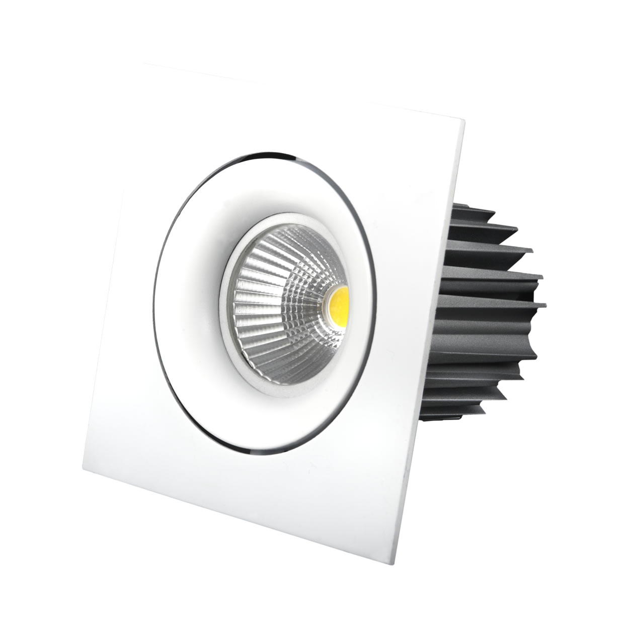 product_lightmoves_led_and_feature_lighting_downlights_space_cannon_ares_04