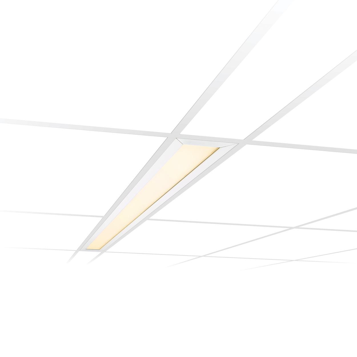 product_lightmoves_led_and_feature_lighting_direct_view_philips_colorkinetics_skyribbon_essential_white_linear_direct_powercore_01 Philips ColorKinetics SkyRibbon eW Linear Direct Powercore