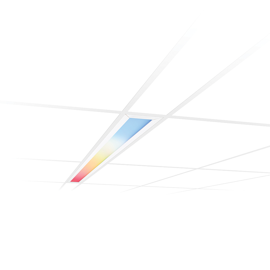 product_lightmoves_led_and_feature_lighting_direct_view_philips_colorkinetics_skyribbon_intellihue_linear_direct_powercore_01