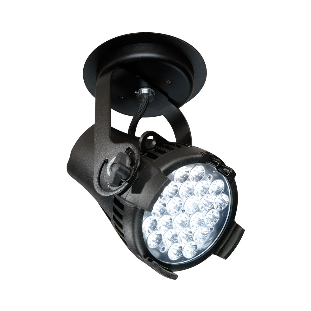 D22_canopy Desire D22